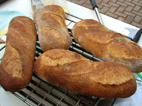 Essential Columbia Loaves