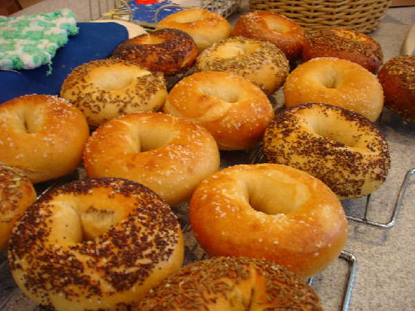 Sourdough Bagels