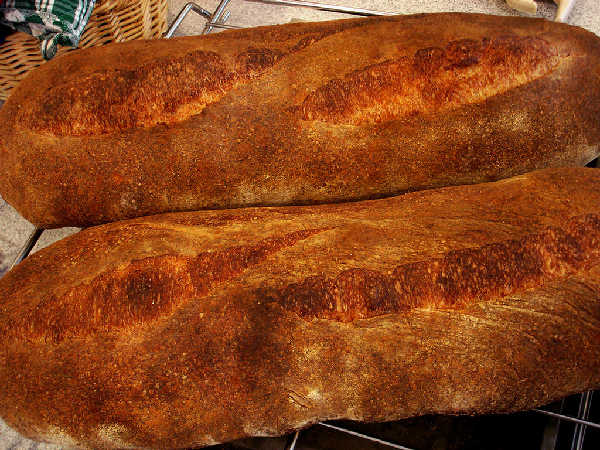 Workhorse Sourdough - Loaves