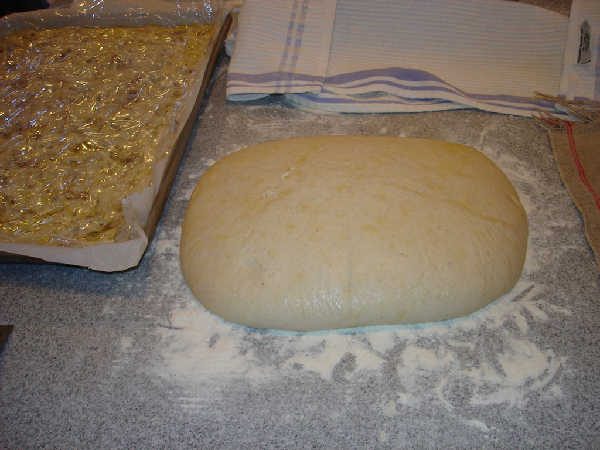 SD ciabatta dough, end of bulk fermentation