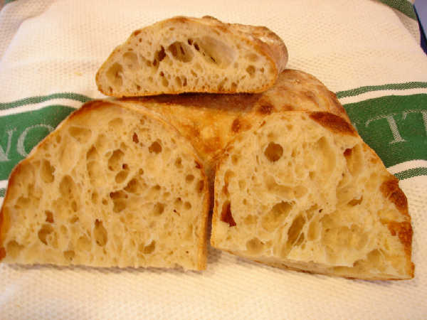 Sourdough Ciabatta Crumb (lengthwise slice)