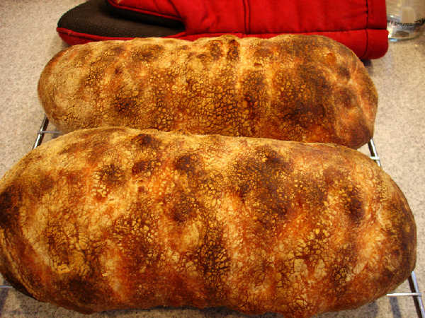 Sourdough Ciabatta - Firm Starter Version (loaves)