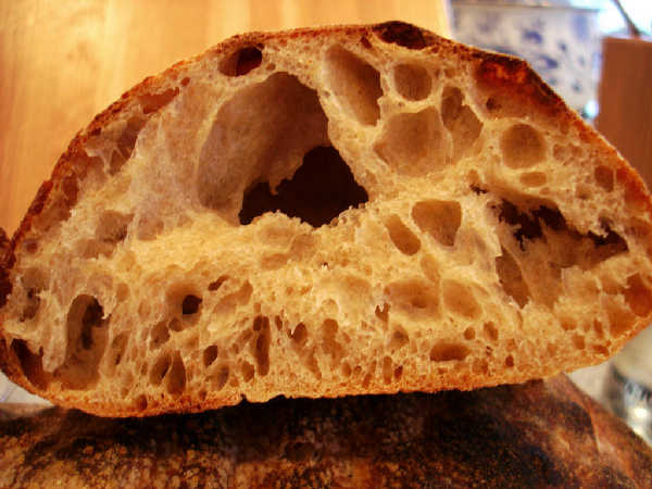 Sourdough Ciabatta - Firm Starter Version (crumb)