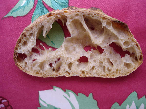 Sourdough Ciabatta - Firm Starter Version (slice)