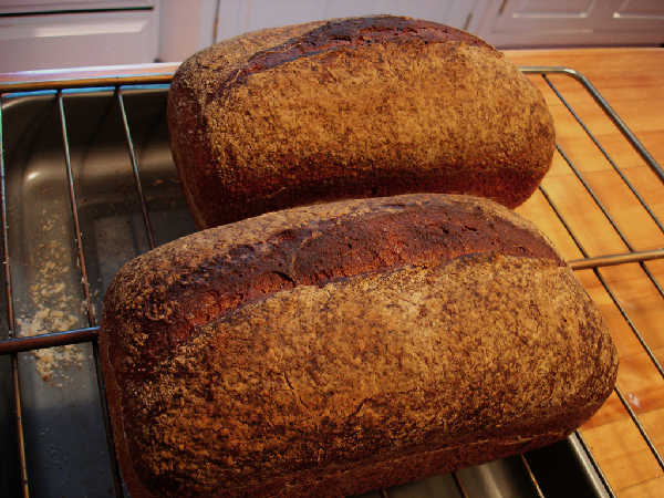 Whole Grain Sourdough Sandwich Bread Loaves