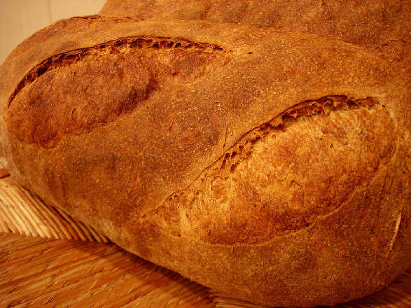 Home Milled and Sifted Sourdough Loaf