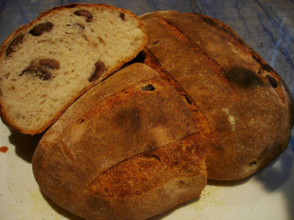 Olive Bread - Sourdough Yeast Hybrid (2) Olive Bread - Sourdough Yeast Hybrid (2)