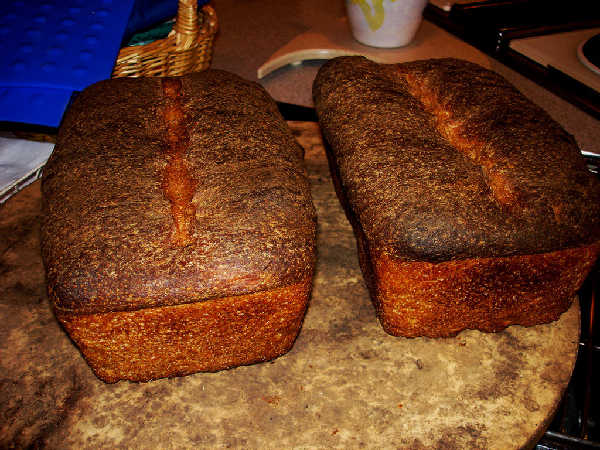 Sourdough Whole Grain Sandwich Loaves