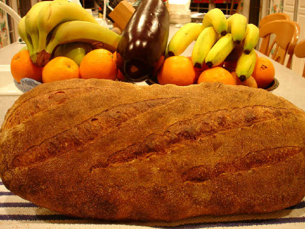 Home Milled and Sifted  Wheat Montana Sourdough