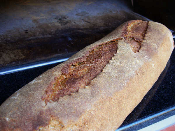 Whole Wheat Mash Bread Just Baked