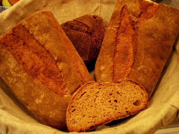 Whole Wheat Mash Bread Crust and Crumb