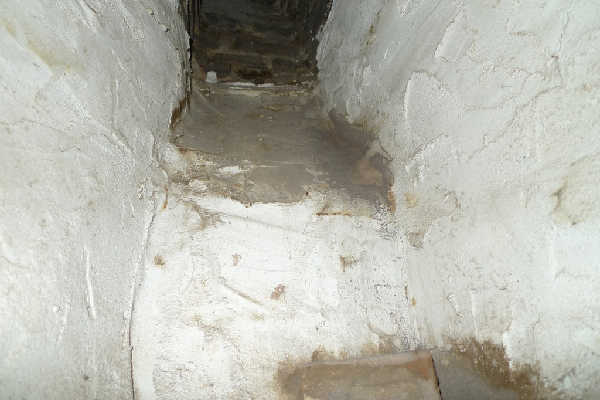 P1000824.jpg