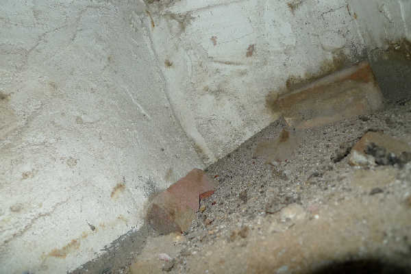 P1000825.jpg