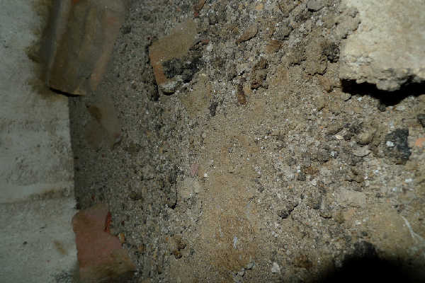 P1000828.jpg