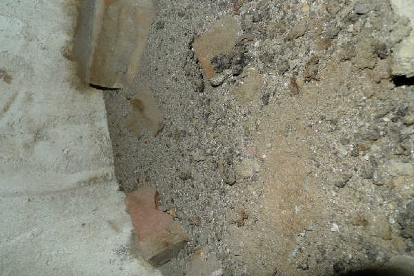 P1000830.jpg
