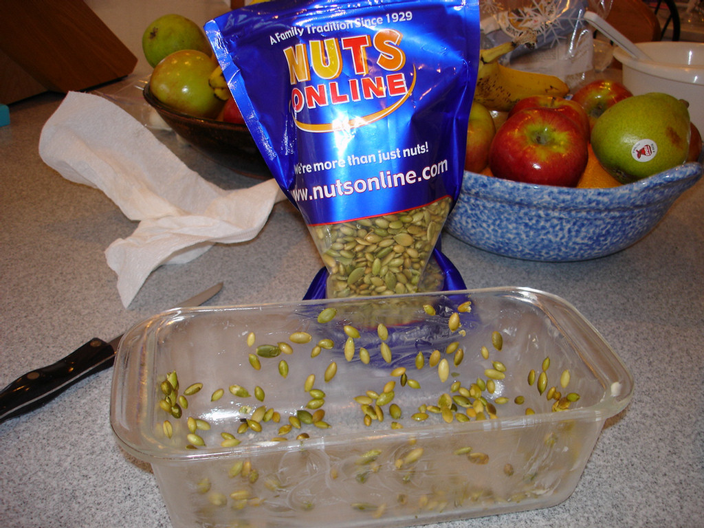 DSC02504.jpg
