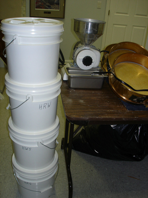 DSC03833.jpg