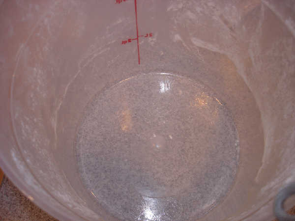 DSC02108.jpg
