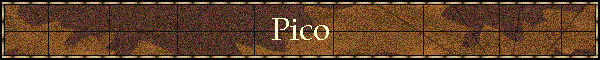Pico