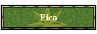 Pico