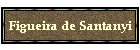 Figueira de Santanyi