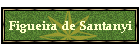 Figueira de Santanyi