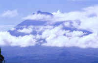 dharper_006.jpg (310606 bytes)
