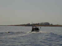 P5100015.JPG (39528 bytes)