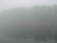 P7100003.JPG (21181 bytes)