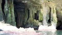 SCAN5.jpg (265925 bytes)