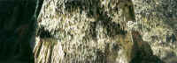 cave2.jpg (215709 bytes)