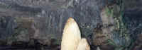 cave3.jpg (172653 bytes)