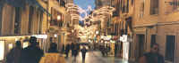 palma1.jpg (199485 bytes)