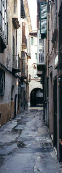 palmaalley.jpg (177354 bytes)