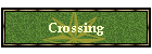 Crossing